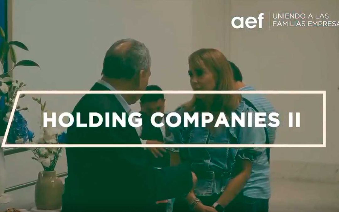 Holding Companies II: Indicadores para el planeamiento 2025